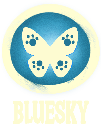 Button for Bluesky account